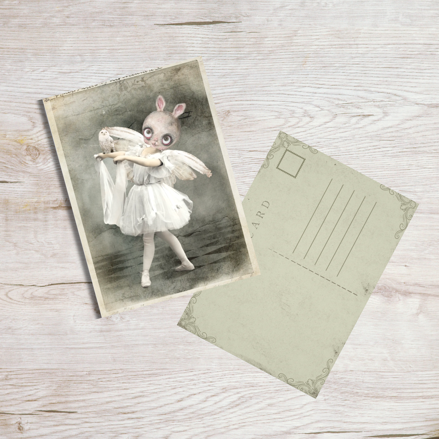 white background post card art print bunny ballerina holding a white owl