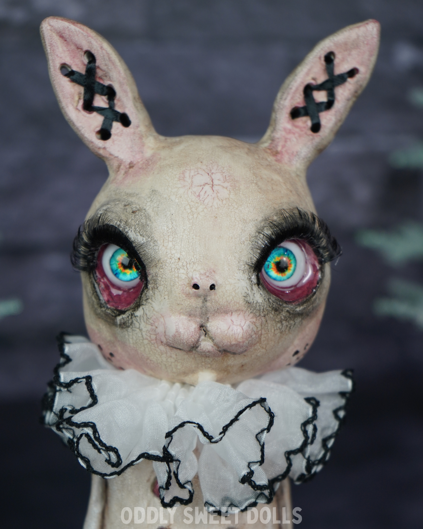 Butcher Bunny - Taffy Trix - Ready To Ship