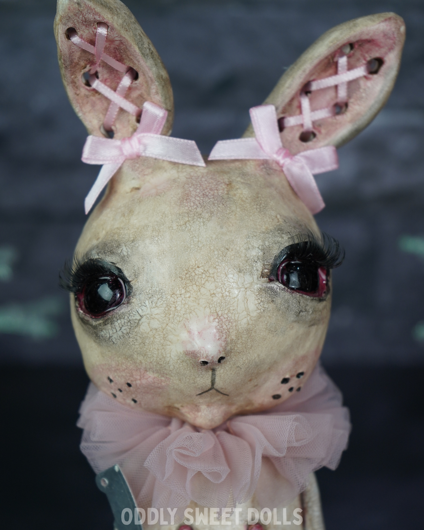Butcher Bunny - Bubbles - Ready To Ship