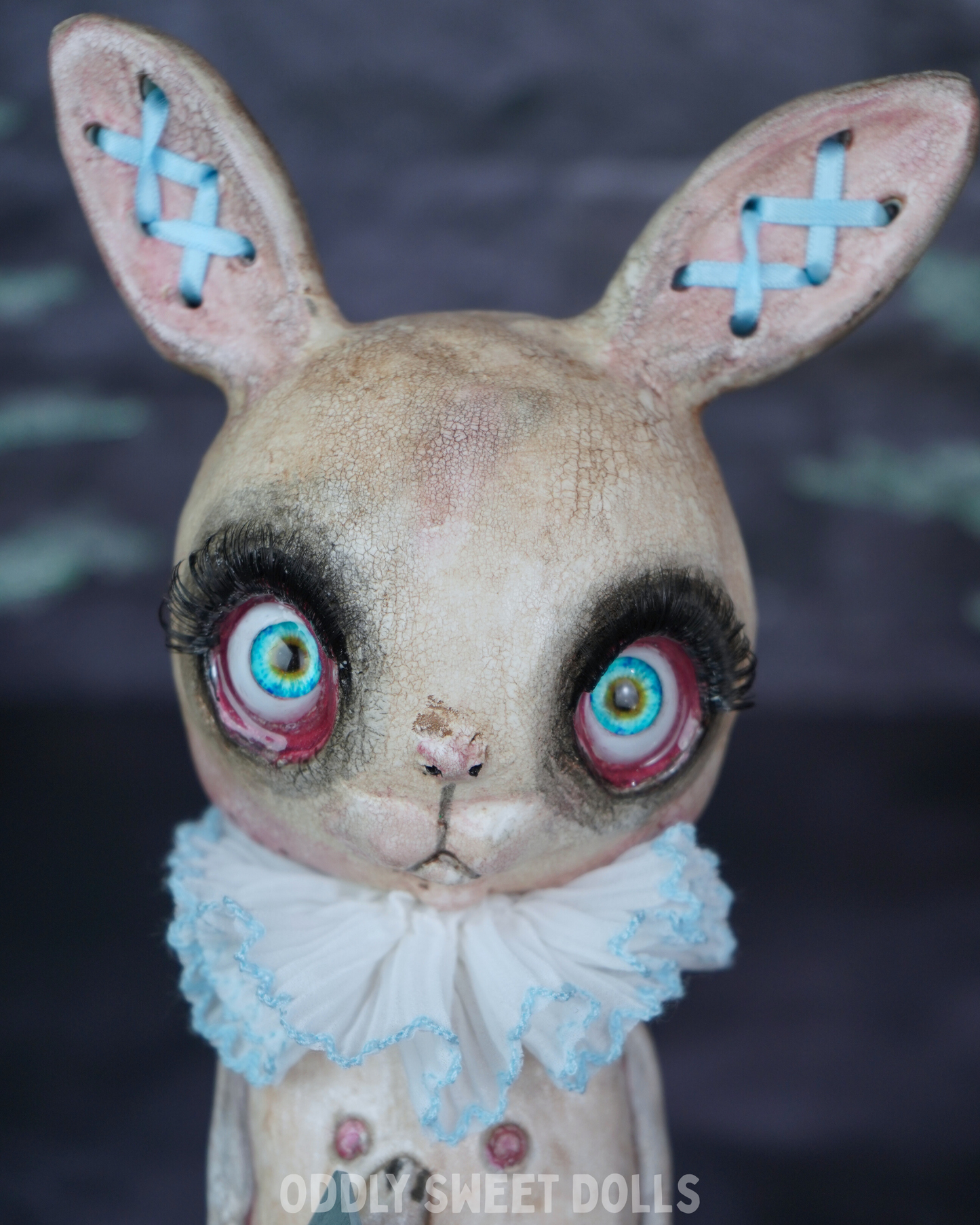 Butcher Bunny - Claudia - Ready To Ship