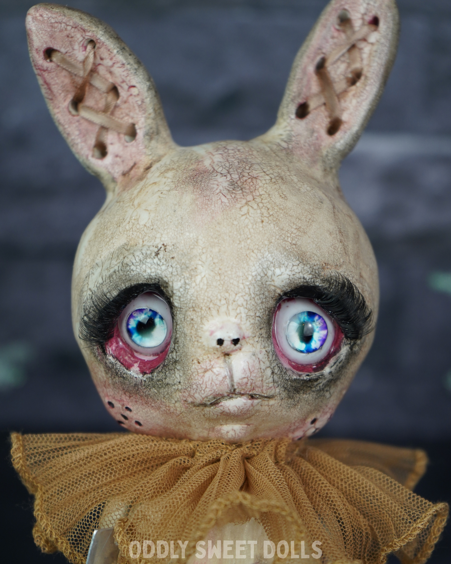 Butcher Bunny - Chuck- Ready To Ship