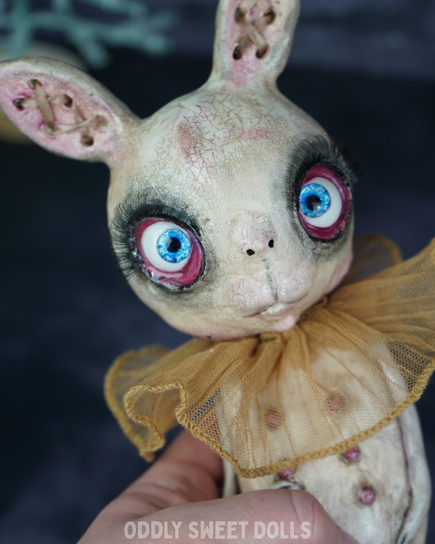 Butcher Bunny - Dot - Ready To Ship