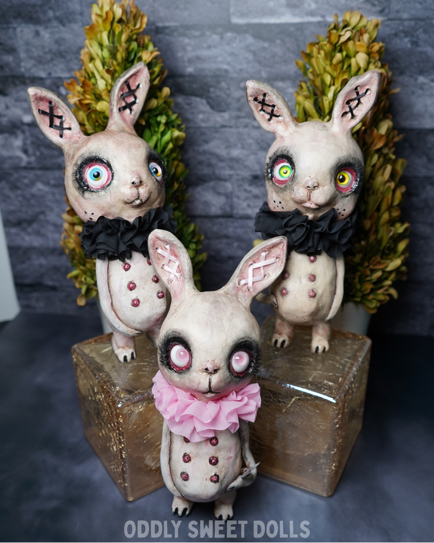 big eyed bunny with black collar