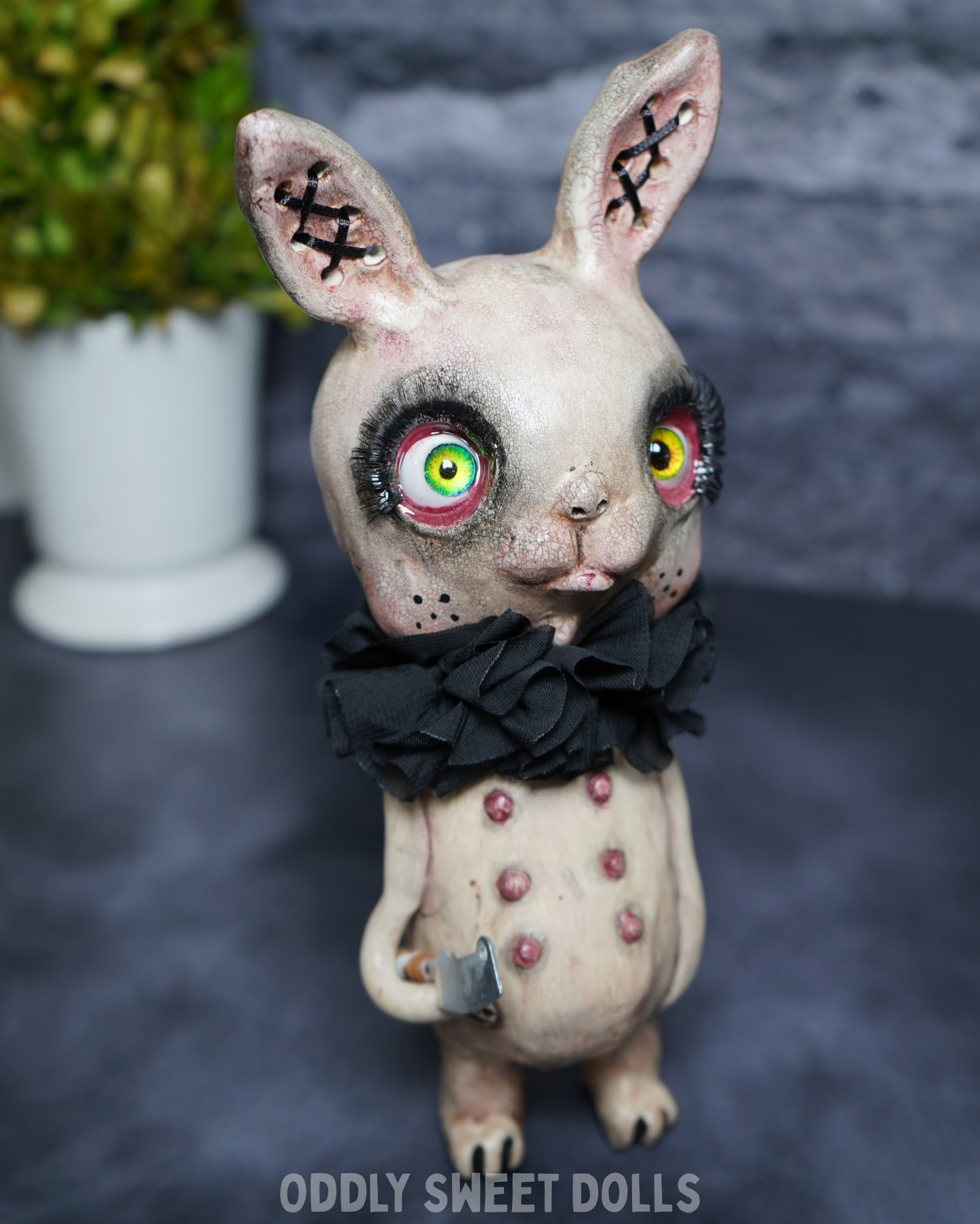 Juniper Jinx - Basil - Ready To Ship