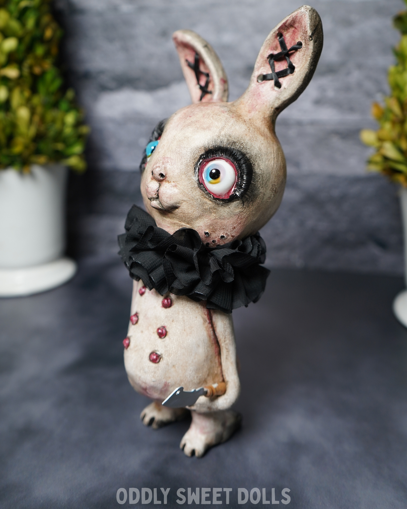 big eyed bunny with black collar