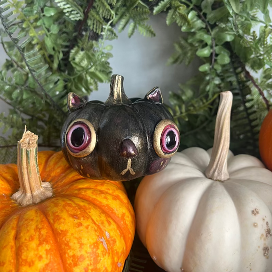 Decorative cat-shaped pumpkin with large eyes among pumpkins and greenery