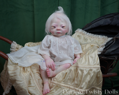 Kameko ~ Albinism