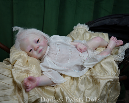 Kameko ~ Albinism