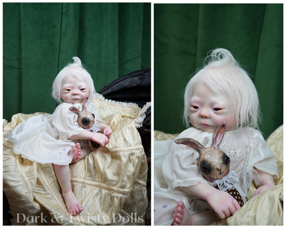 Kameko ~ Albinism