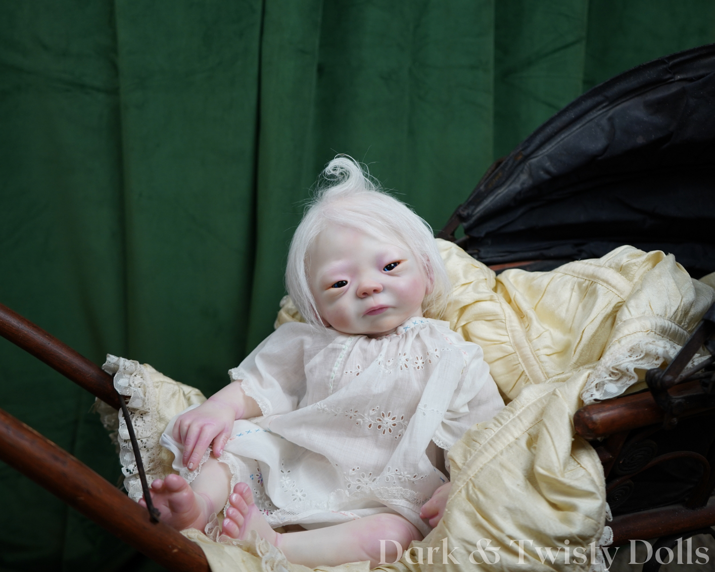 Kameko ~ Albinism