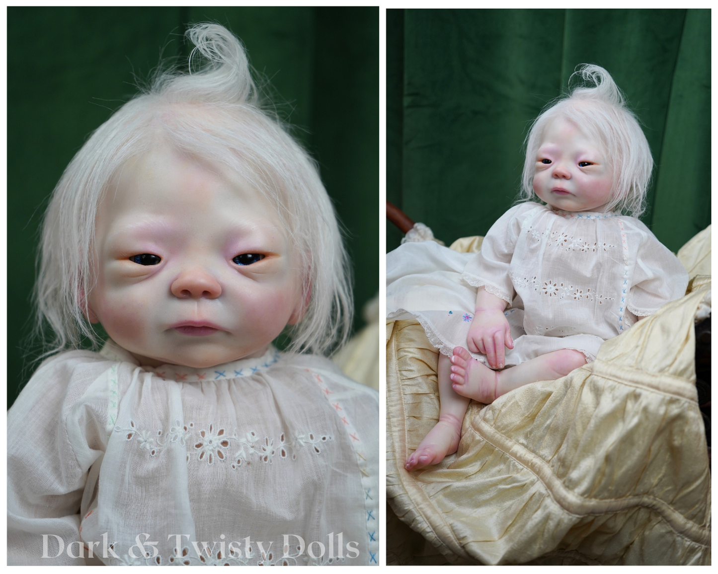 Kameko ~ Albinism