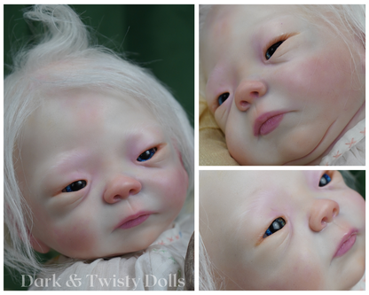 Kameko ~ Albinism