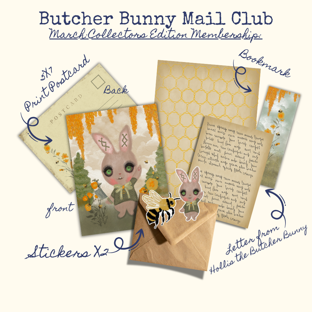 Butcher Bunny Mail Club March Collectors Edition Membership with stationery items and rabbit illustration.