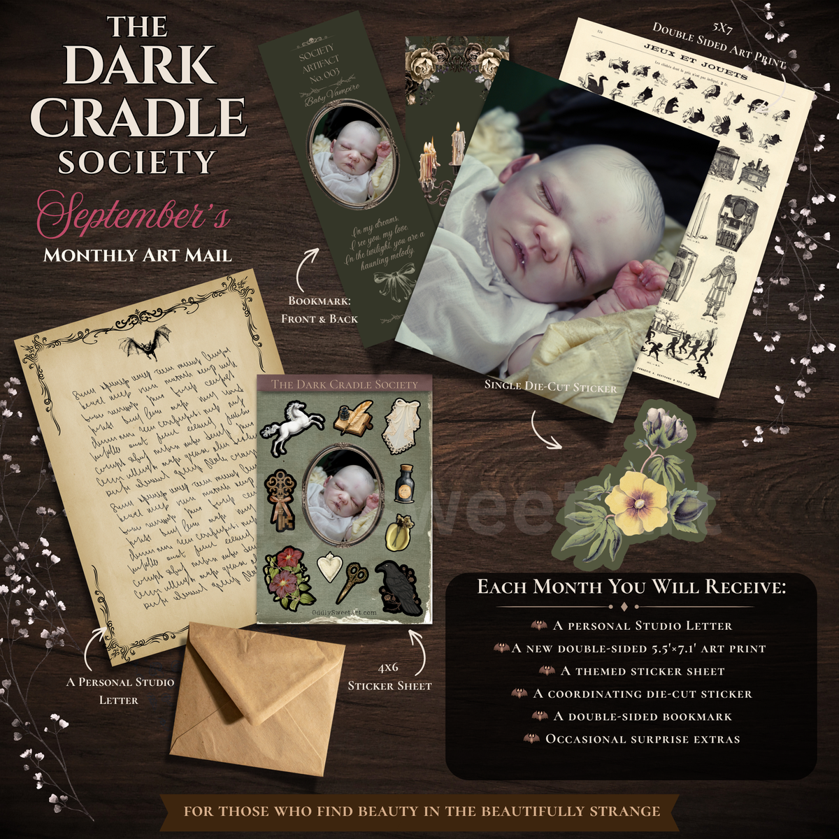 September dark cradle societys package with a reborn vampire baby, sticker, bookmark, studio letter. 