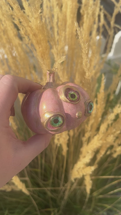 Aleena- Pumpkin