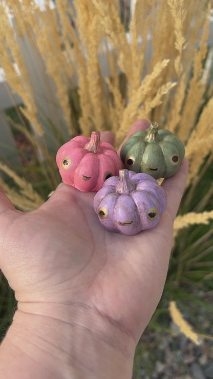 Lil Mini Pumpkins