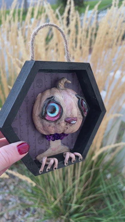 Toonith- 3D Framed Pumpkin